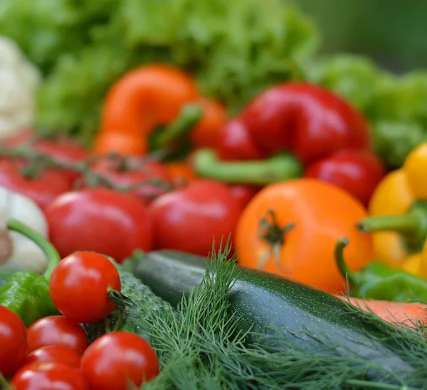 Colorido Conjunto Alimentos Orgánicos Verduras Frescas Crudas Comida Vegetariana Saludable — Foto de Stock