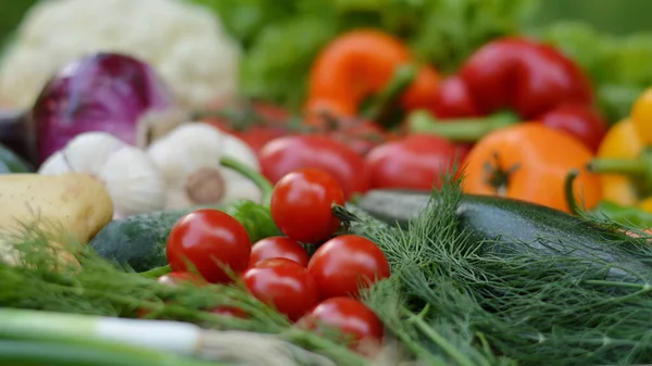 カラフルなセット有機食品 新鮮な生野菜 ヘルシーなベジタリアンフード — ストック写真