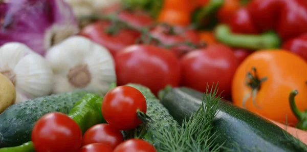 Kolorowe Organiczne Jedzenie Świeże Surowe Warzywa Zdrowe Wegetariańskie Jedzenie Wegetariańska — Zdjęcie stockowe