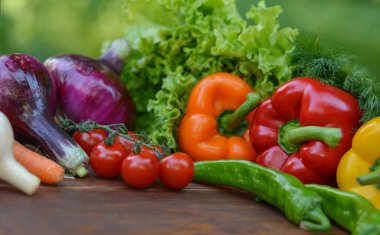 Bulanık yeşil sebze bahçesinin arka planında güzel taze organik sebzeler. Bahçe işleri, sağlıklı beslenme, vejetaryenlik. Metin için alanı kopyala