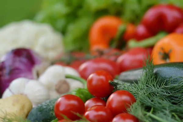 Барвистий Набір Органічної Їжі Свіжі Сирі Овочі Здорова Вегетаріанська Їжа — стокове фото