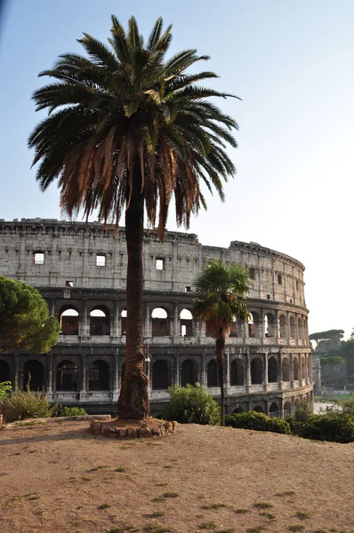 The Roman Colosseum — Stock Photo, Image