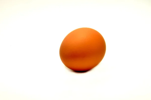 Close-up van een ei geïsoleerd op witte achtergrond — Stockfoto