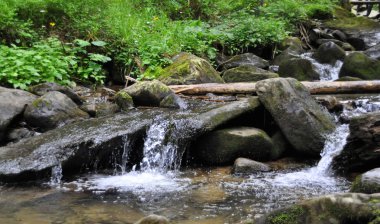 Karpatlar orman ve dağ Nehri