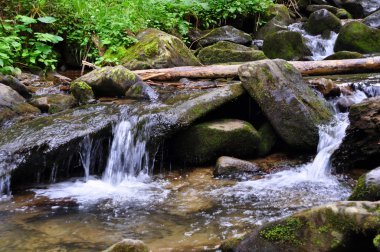 Karpatlar orman ve dağ Nehri