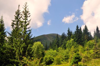 Karpat Dağları 'nın güzel manzarası