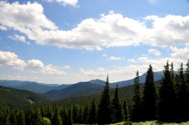 Karpat Dağları 'nın güzel manzarası
