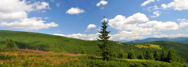 Vista panorâmica da bela paisagem nas montanhas dos Cárpatos — Fotografia de Stock