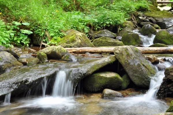 Karpatlar orman ve dağ Nehri — Stok fotoğraf