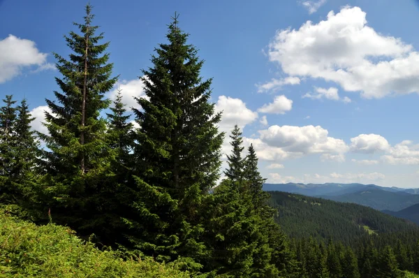 Beautiful landscape in the Carpathian mountains — Stock Photo, Image