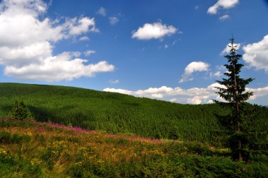 Karpat Dağları 'nın güzel manzarası