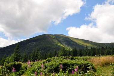Karpat Dağları 'nın güzel manzarası