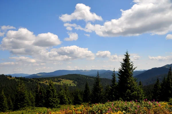 Чудовий краєвид Карпатських гір — стокове фото