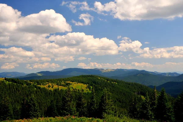 Karpat Dağları 'nın güzel manzarası