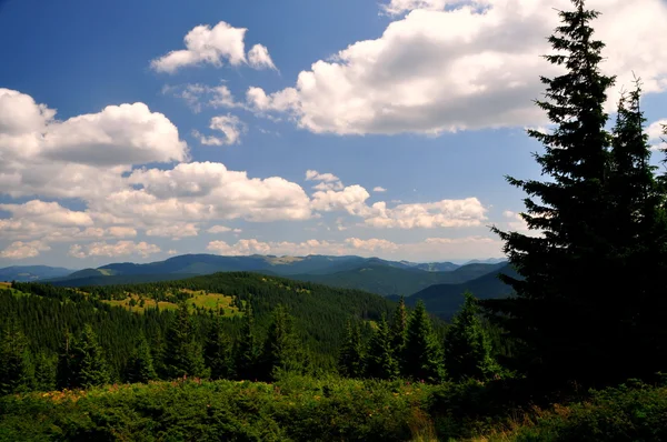 Чудовий краєвид Карпатських гір — стокове фото
