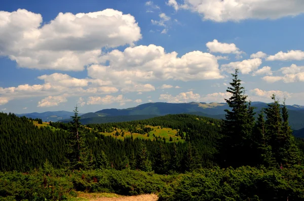 Чудовий краєвид Карпатських гір — стокове фото