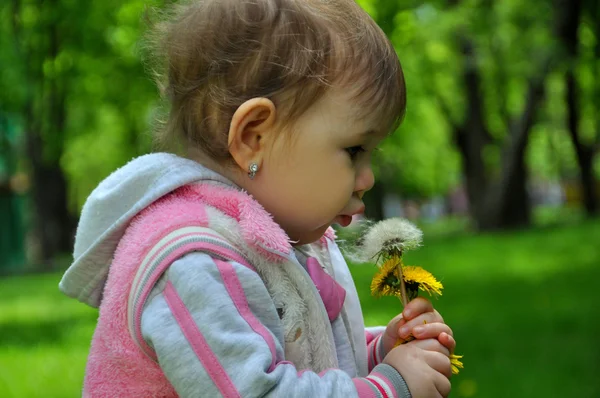 Küçük kız bir karahindiba üfleme — Stok fotoğraf