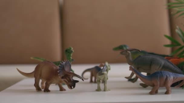 Boy Plays Dinosaur Figurines Table Little Explorer Hat Handheld Close — Stock Video