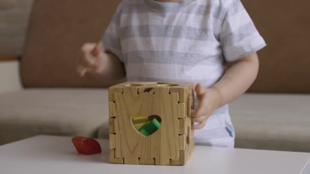Little Girl Playing Wooden Box Geometrical Figures Table Sorting Rainbow — Stock Video