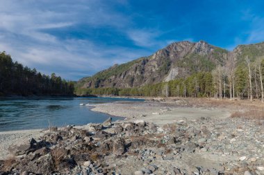 Sonbaharda Altai dağlarında güzel bir Katun nehri.