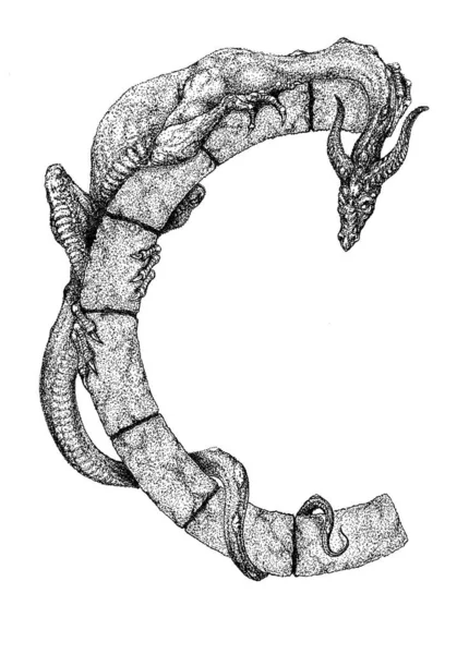 A szárnytalan sárkány körbefonja a "C" betűt. — Stock Fotó