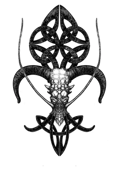 Drakhuvud med sammanflätade huggtänder och horn med inslag av keltisk prydnad — Stockfoto