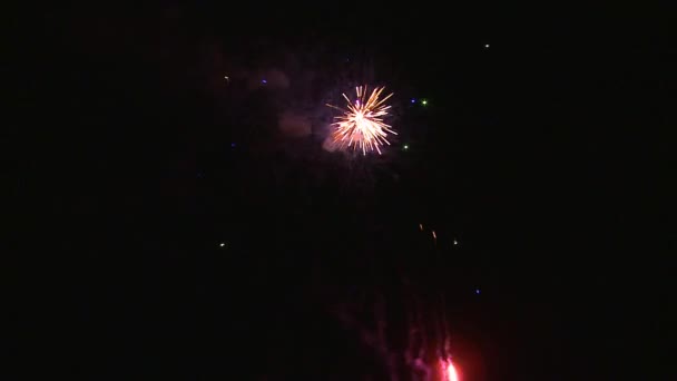 Fuochi artificiali — Video Stock