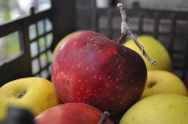 Hasat et. Sonbahar, Almaty 'de kırmızı elma ve yapraklarla dolu.