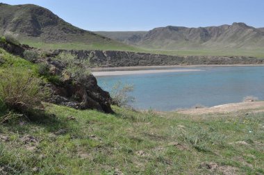 İlkbaharın başlarında Kazakistan 'daki Ili Nehri.