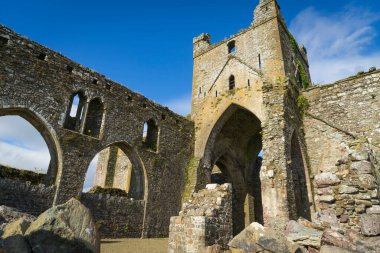 İrlanda 'nın Wexford ilçesindeki eski Dunbrody Manastırı' nın kalıntıları..