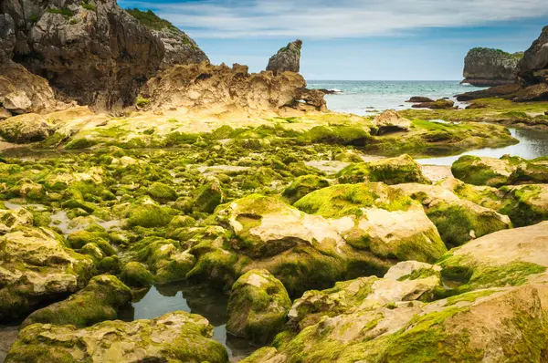 Landscape Playa Buelna Asturias Low Tide Stones Full Green Algae — Stock Photo, Image