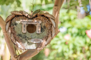 Balayı Süiti - wodden kuşlar ağaç ev bahçesinde bir şekil