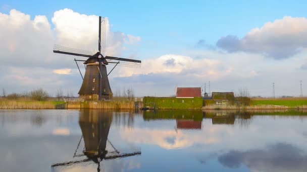 Molinos de viento holandeses al atardecer en el famoso kinderdijk, Países Bajos — Vídeo de stock