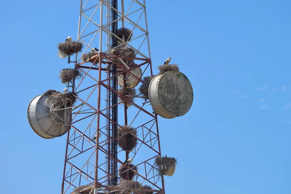 Torre de comunicaciones cielo azul — Foto de Stock
