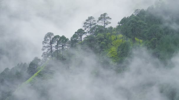 Le brouillard coule à travers les montagnes — Video