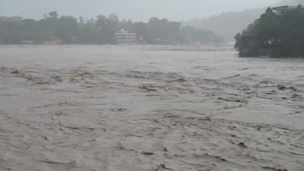Regn og hurtig flod – Stock-video