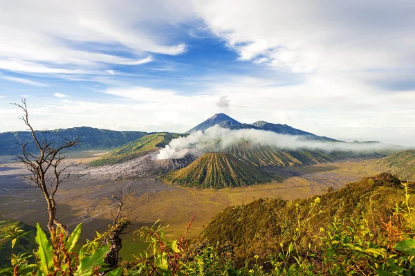 Mount bromo batok semeru volkan, java indonesi