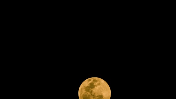 2015 年 4 月 4 日の夜でタイムラプス満月 — ストック動画