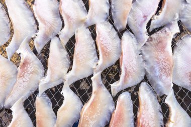 Güneşin altında kurutulmuş tuzlu balık