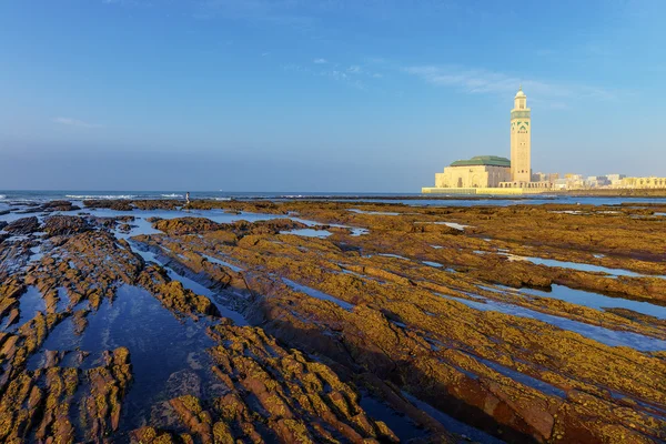 Detail of bare rocks because of low tide at casablanca, morocc — Stock Photo, Image