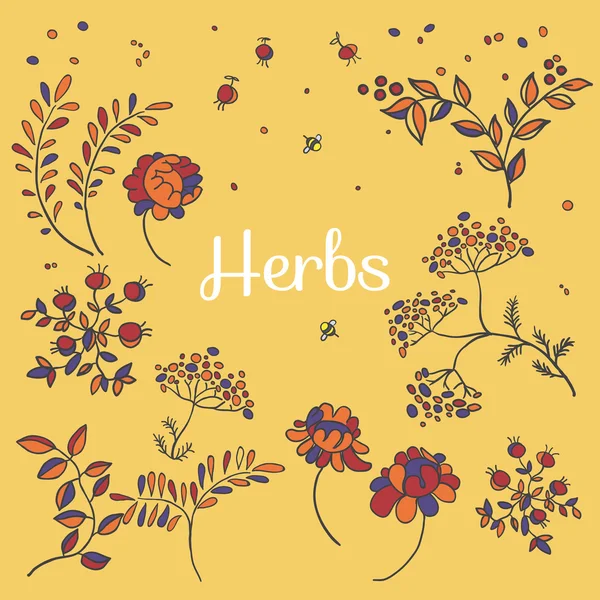 ハーブと花のセット。手描き植物 — ストックベクタ