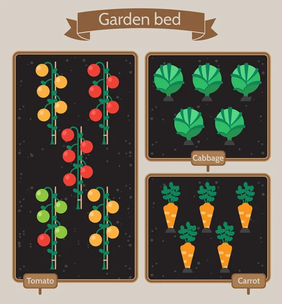 Planificador de huertos vegetales diseño plano.Camas con repollo, zanahorias, tomates — Vector de stock