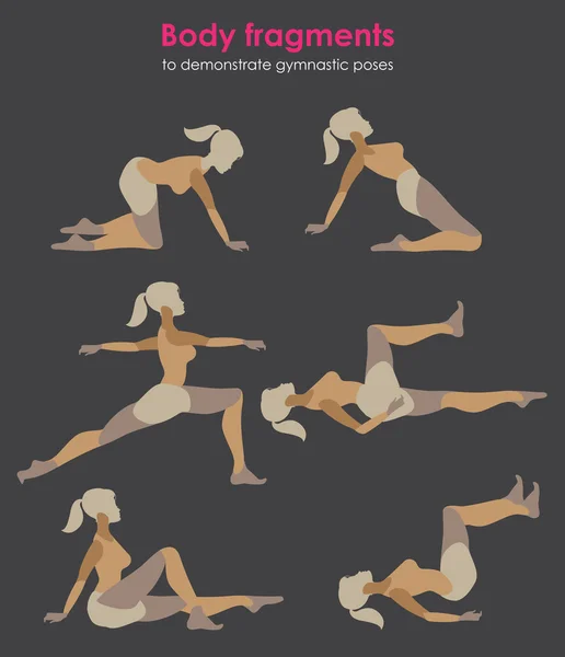 Fragments de corps pour démontrer des poses de gymnastique — Image vectorielle