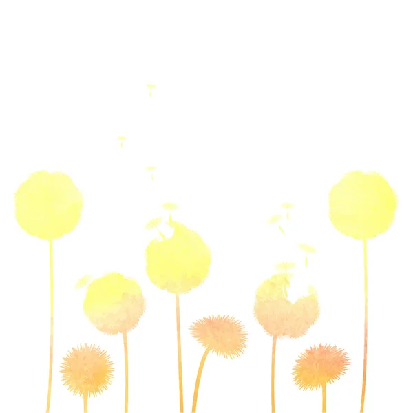 Dandelions background