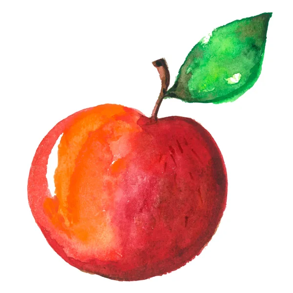 Akvarel æble – Stock-vektor