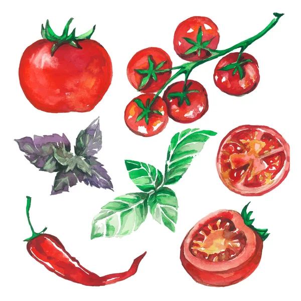 Verdura conjunto dibujado manchas de acuarela y manchas con tomates , — Vector de stock