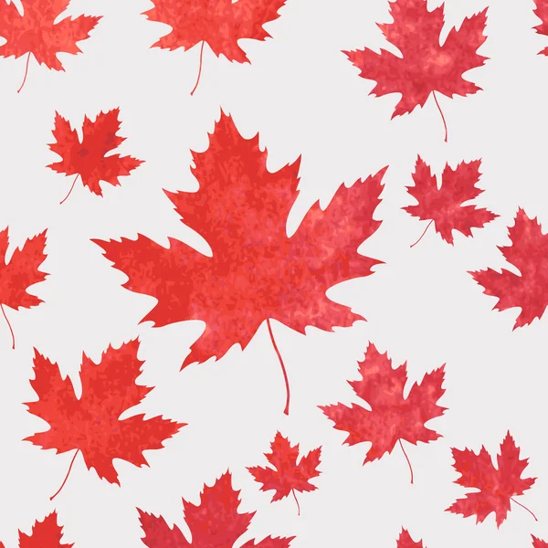 Maple leaves pattern — Stock Vector