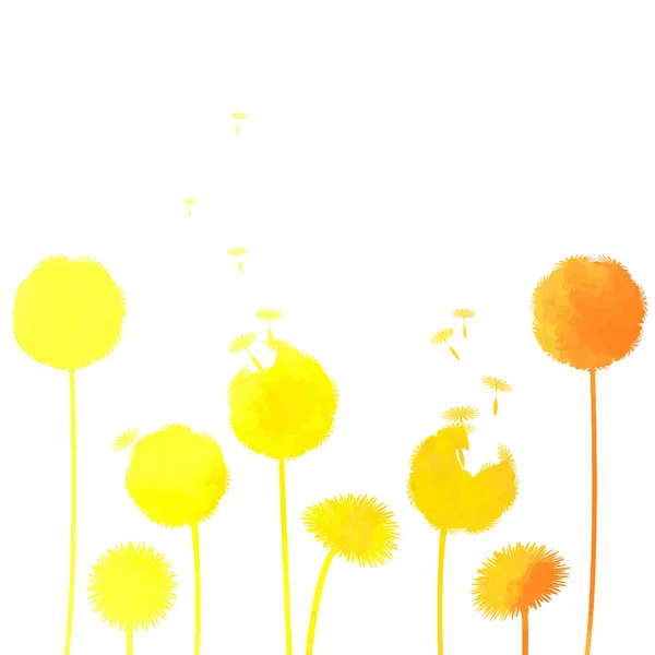 Dandelions background