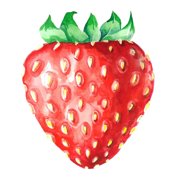 수채화 딸기 — 스톡 벡터