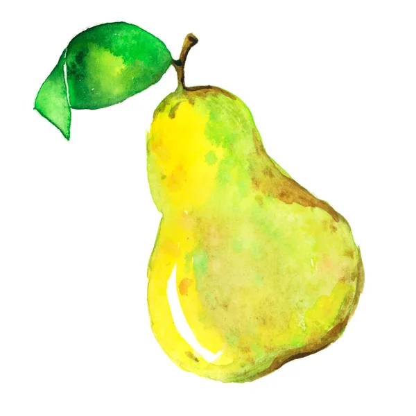 Watercolor pear — Stock Vector